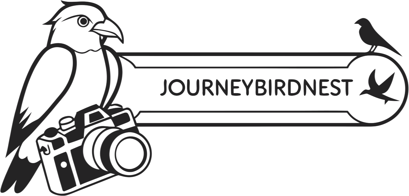 journeybirdnest.com